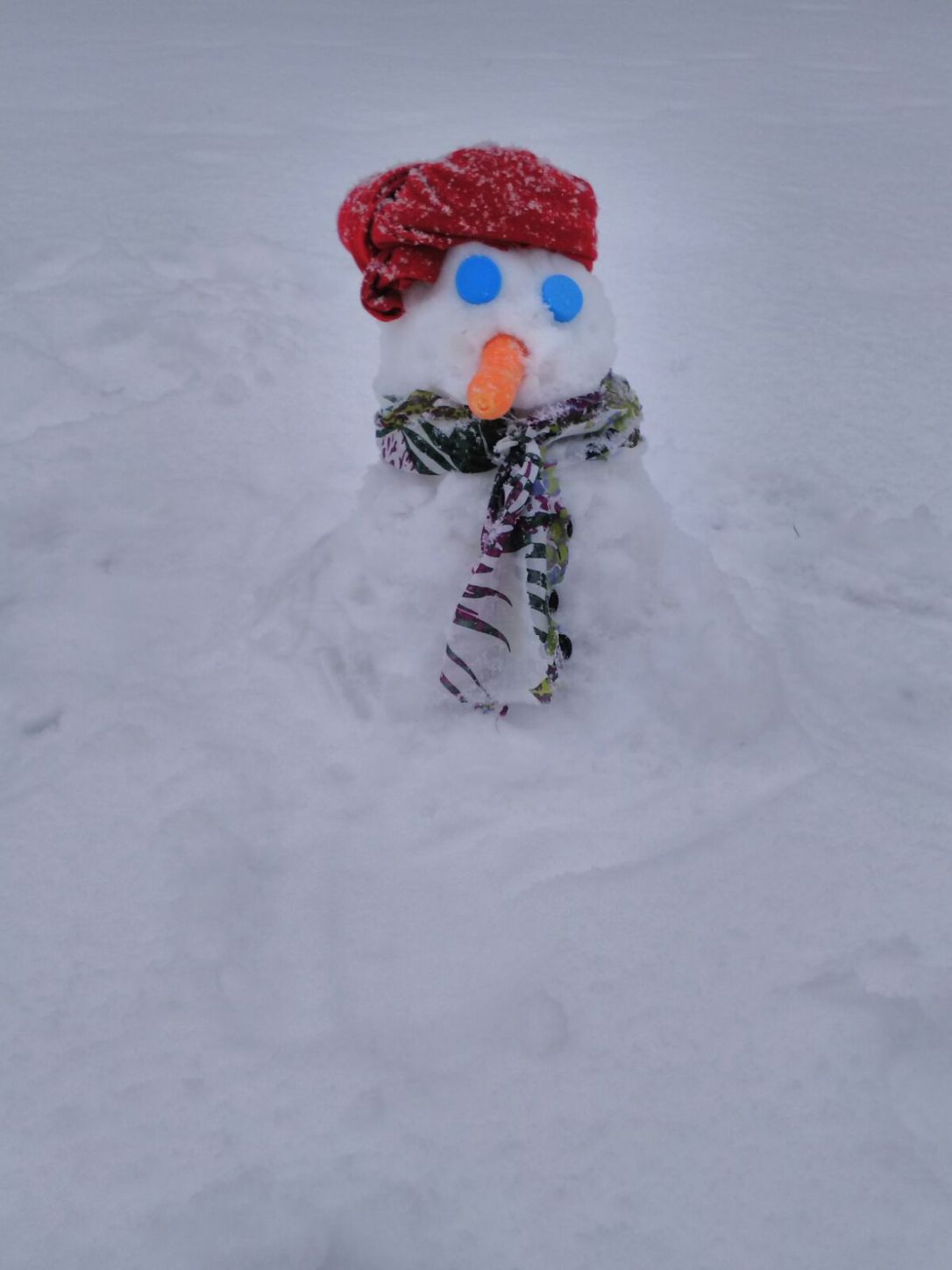 WhatsApp Image 2018-03-01 at 14.49.37