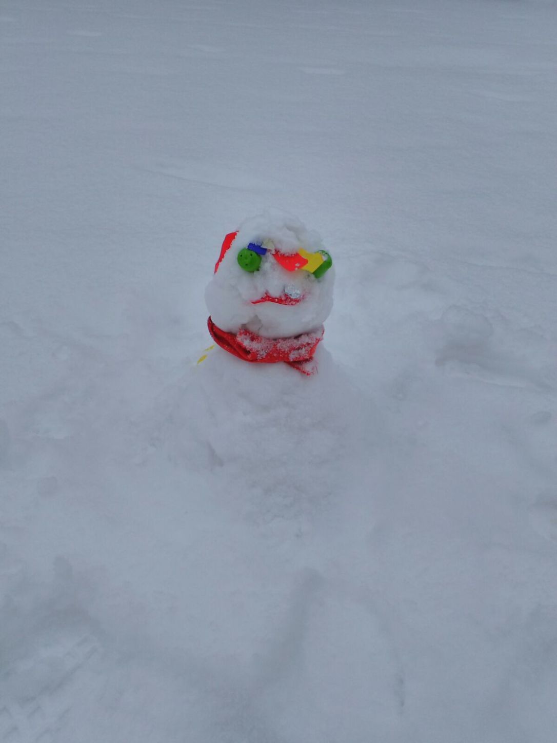 WhatsApp Image 2018-03-01 at 14.50.08