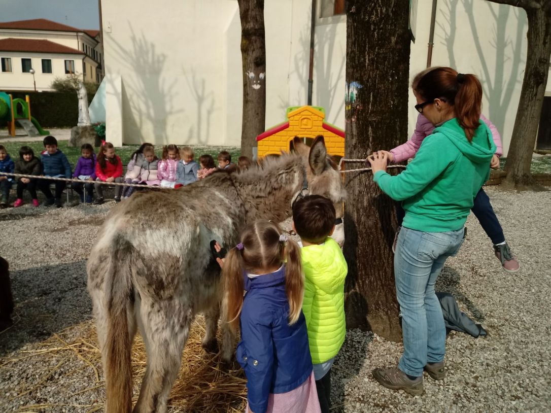 WhatsApp Image 2018-04-06 at 19.58.43 (2)